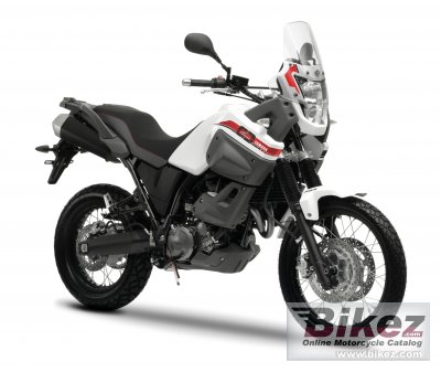 2013 Yamaha XT660Z Tenere photo